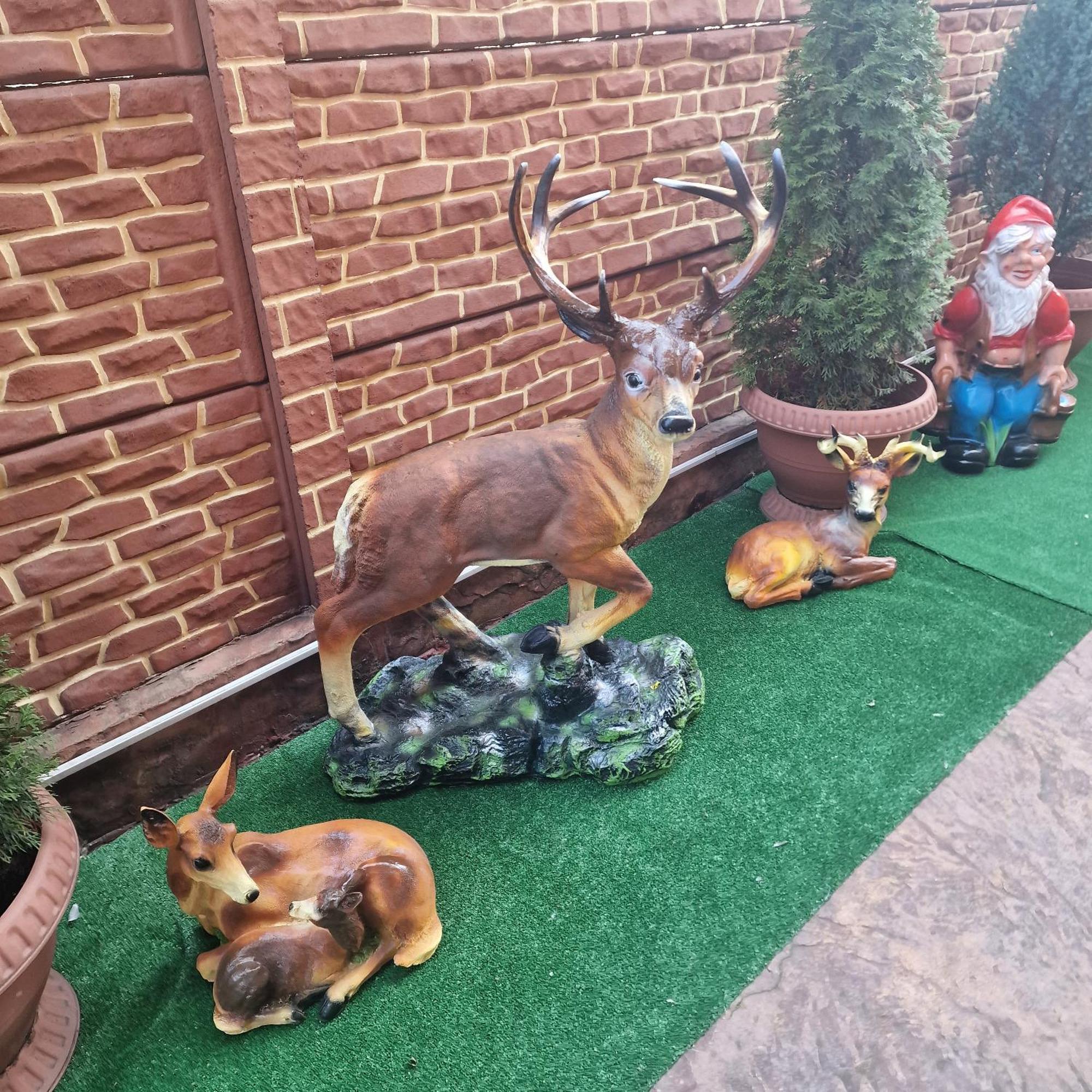 Hotel Casa Cojanu Petroşani Esterno foto