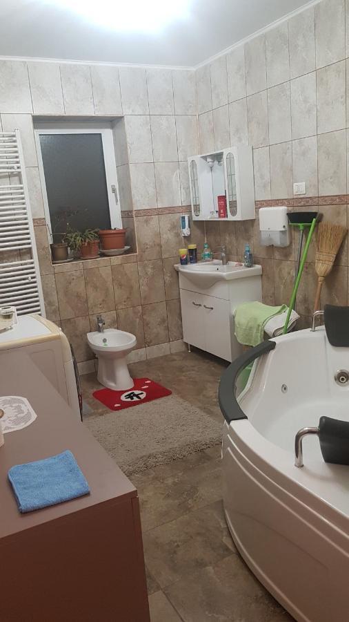 Hotel Casa Cojanu Petroşani Esterno foto