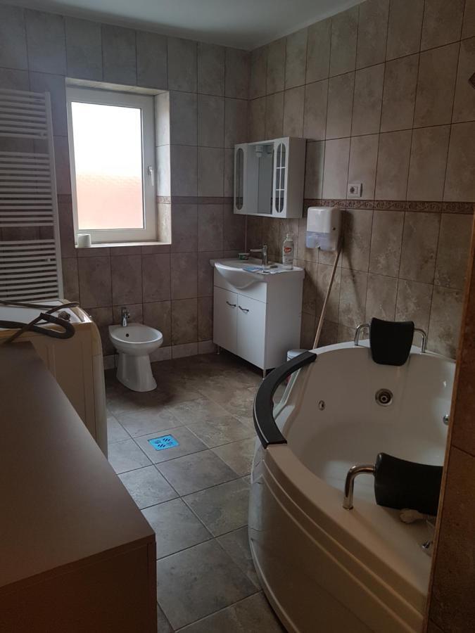Hotel Casa Cojanu Petroşani Esterno foto