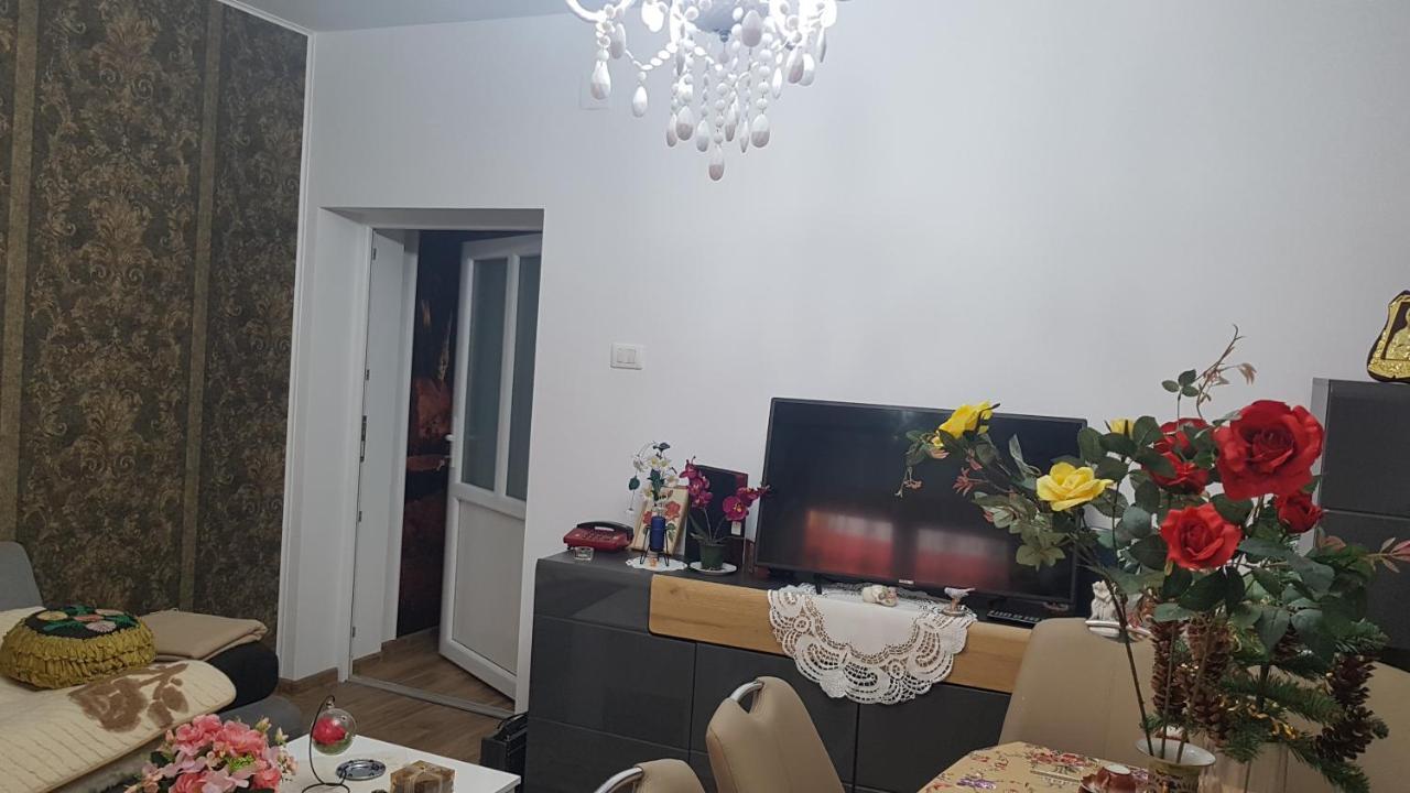 Hotel Casa Cojanu Petroşani Esterno foto