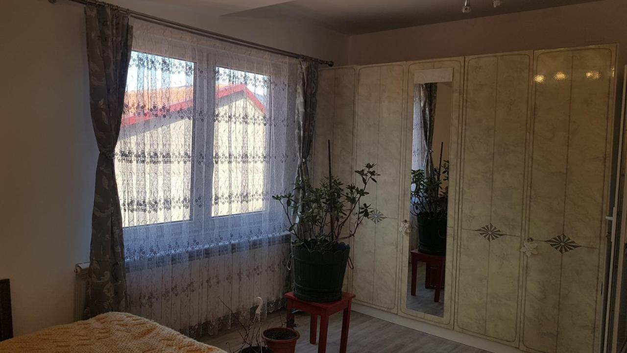 Hotel Casa Cojanu Petroşani Esterno foto