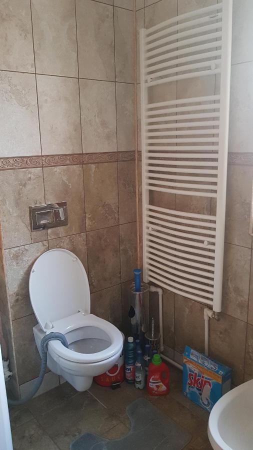 Hotel Casa Cojanu Petroşani Esterno foto