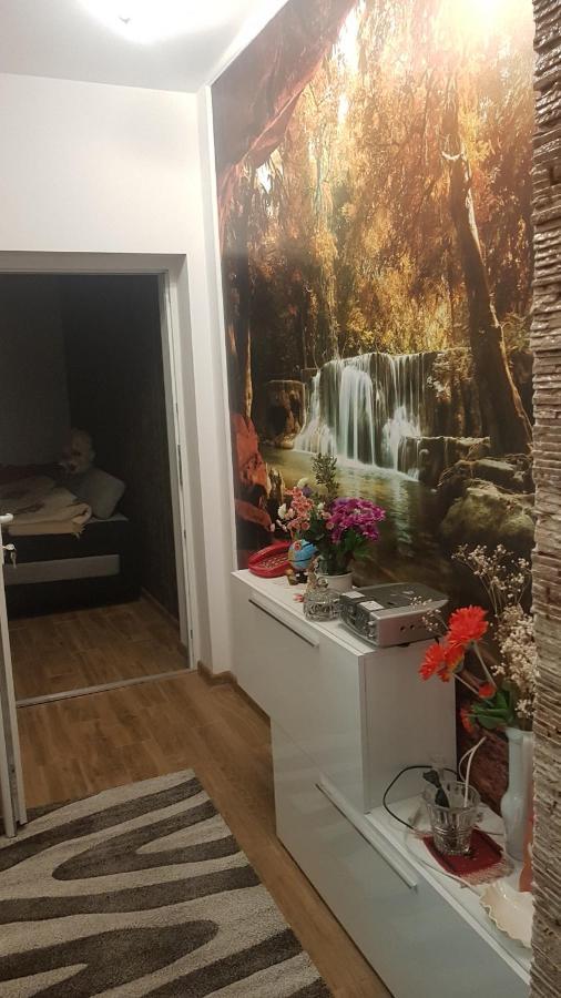 Hotel Casa Cojanu Petroşani Esterno foto